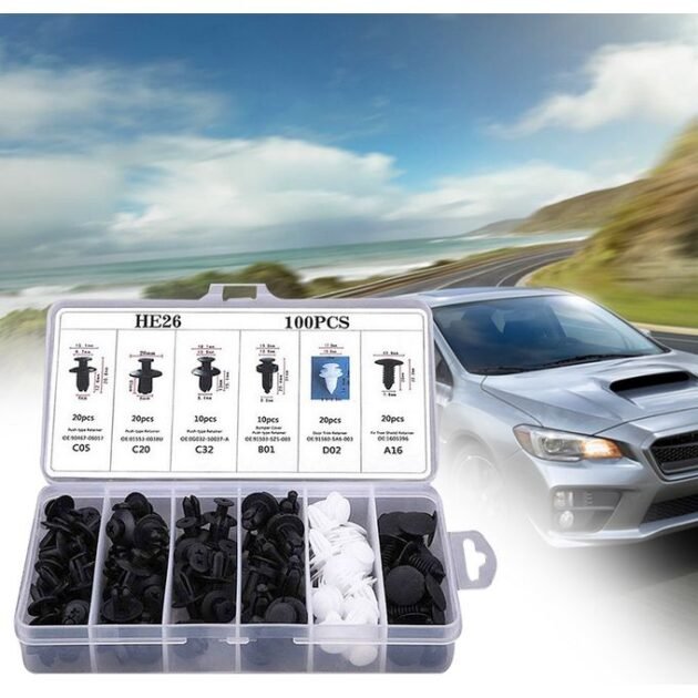 Assortiment de Clips de retenue de voiture, 100 PCS